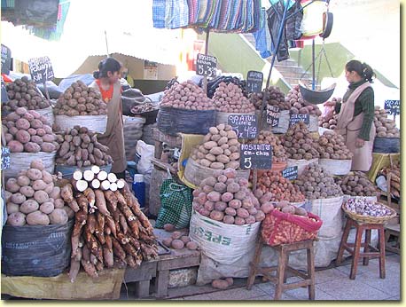 Potatoes In Peru