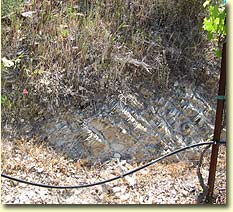 Soil in Bone Rock section