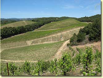 James Berry Vineyards, Bone Rock in foreground, Rocket Block on hill in background