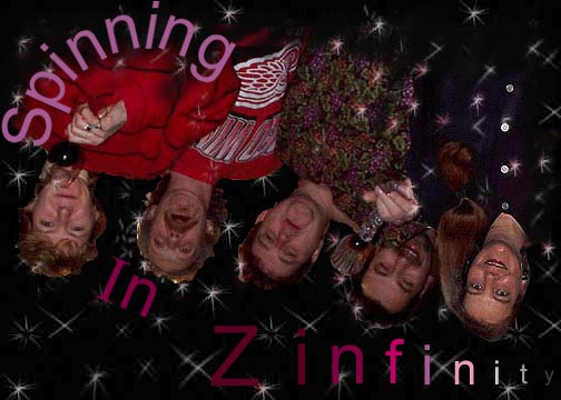 The Gang of Pour - Spinning in Zinfinity